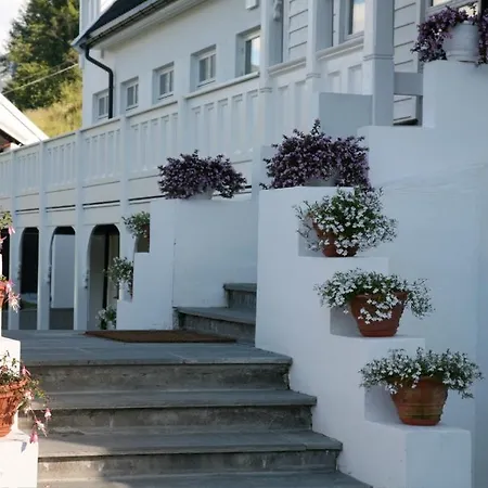 Hotel Torvis Luster