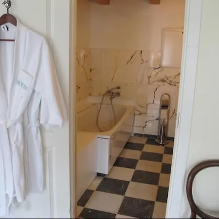 Torvis Hotel Luster