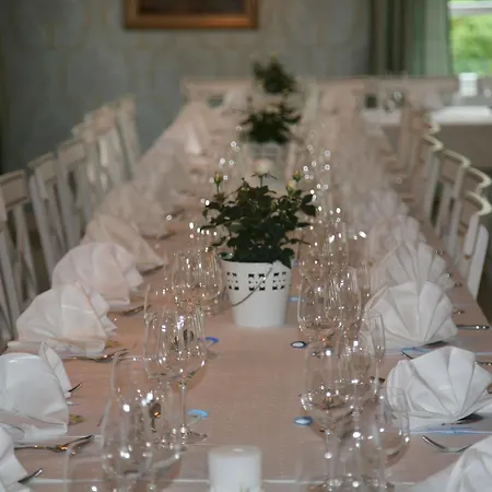 Hotel Torvis Luster